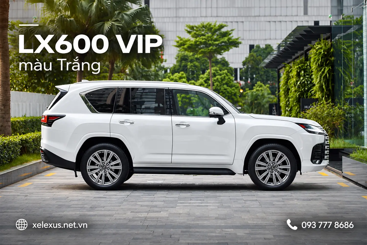 Lexus LX600 VIP màu Trắng (Sonic Quartz – 085)