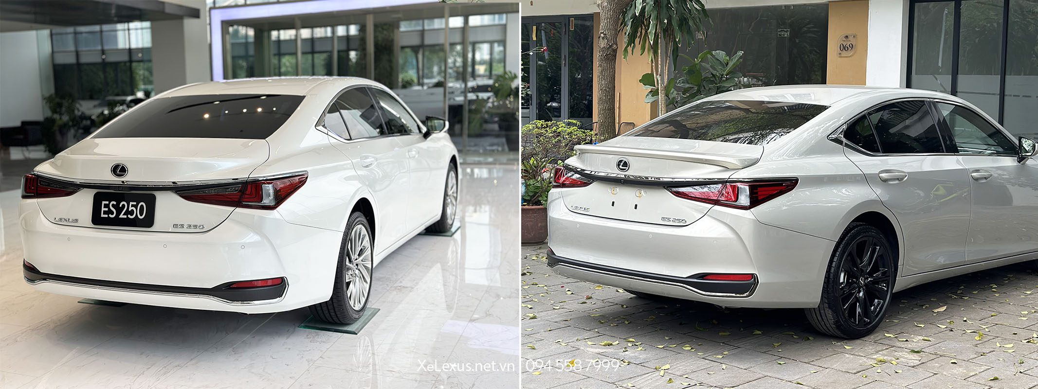 Sự khác nhau giữa phần đuôi xe Lexus ES250 và Lexus ES250 F Sport