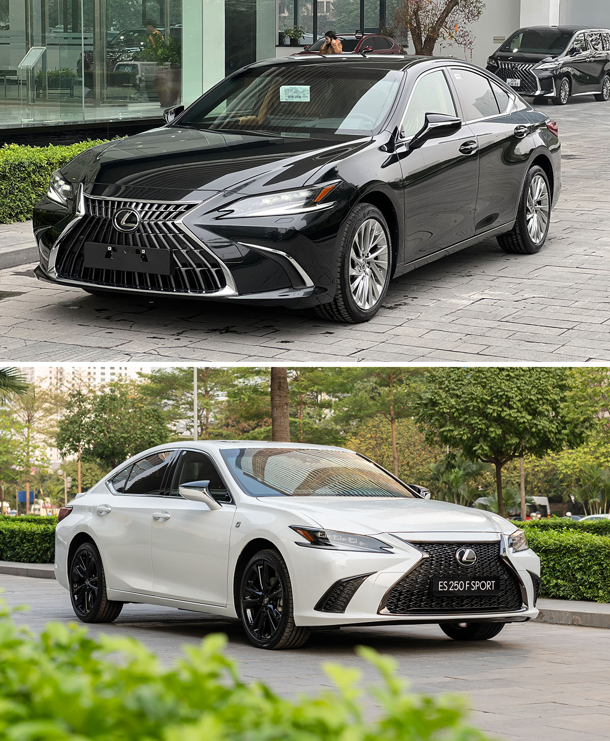 So sánh điểm giống và khác nhau giữa xe Lexus ES250 và Lexus ES250 F SPORT