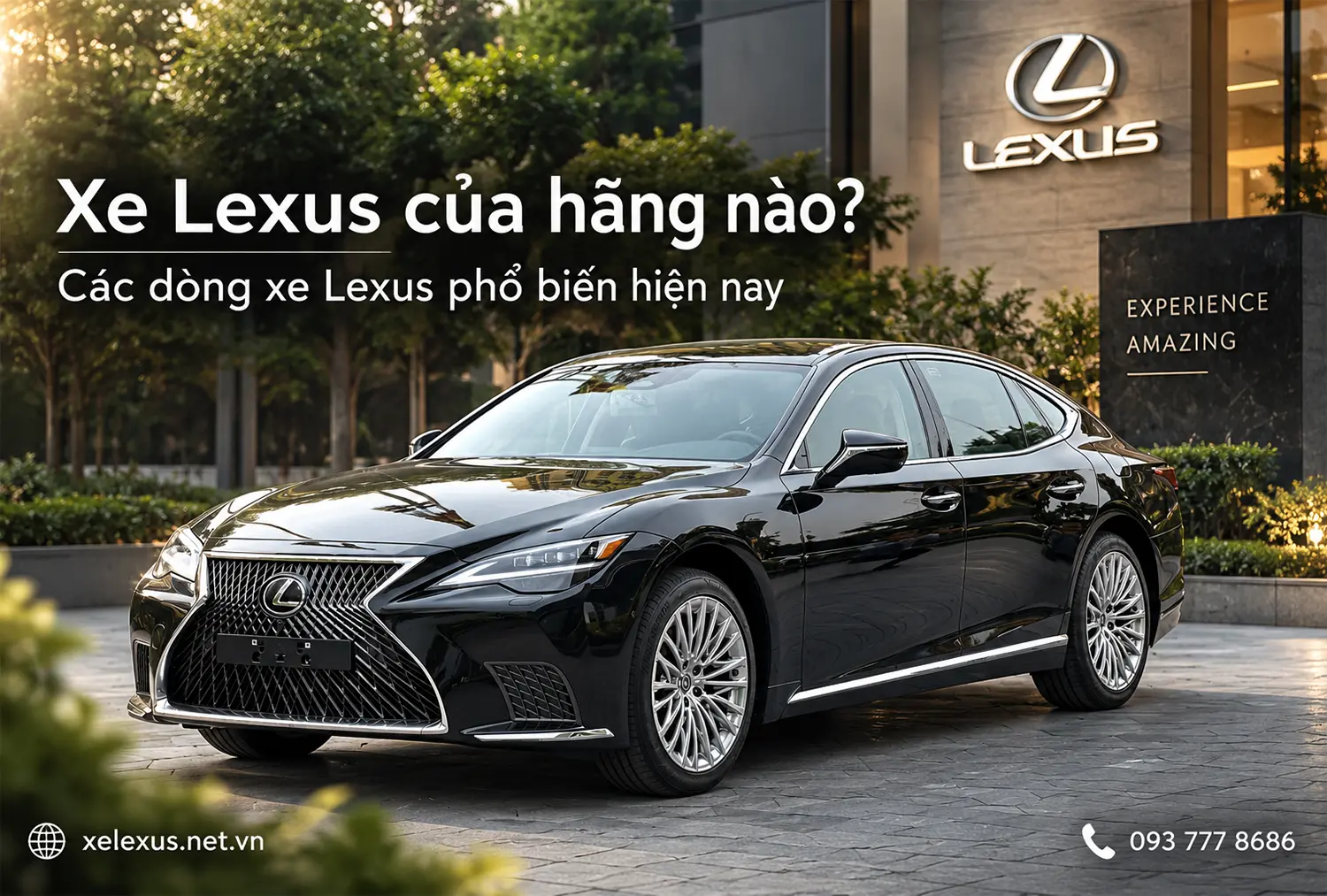 Xe Lexus của hãng nào? Các dòng xe Lexus phổ biến 2026