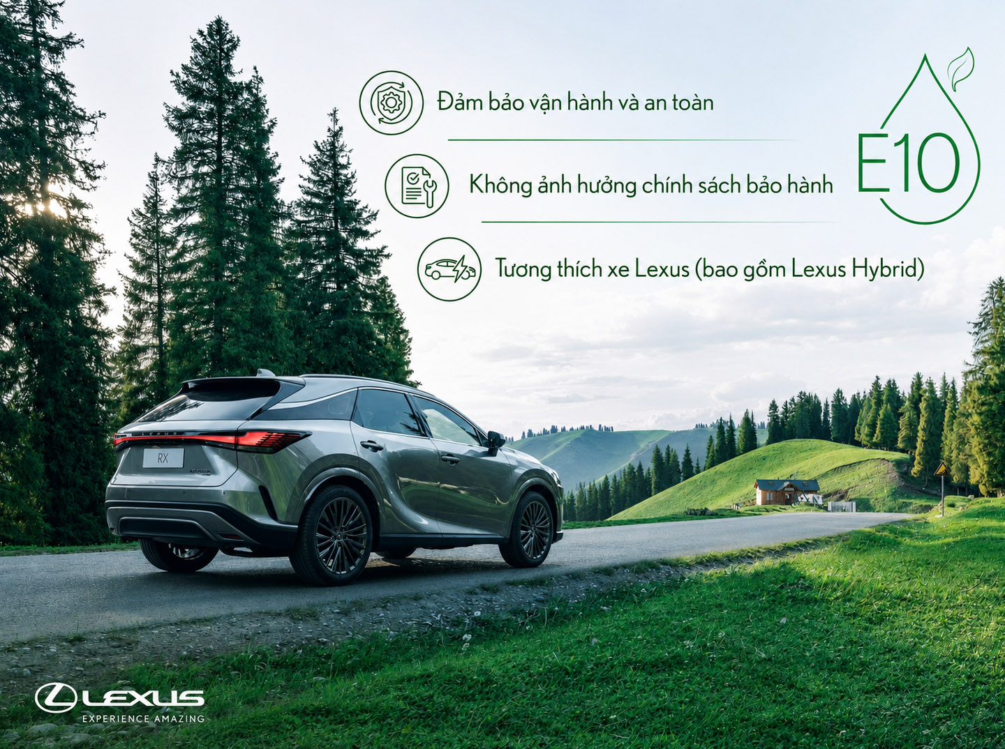 Xăng E10 có phù hợp với xe Lexus?